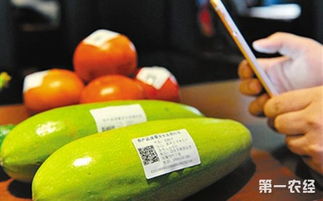 記錄前世今生 北京農(nóng)產(chǎn)品身份證，追溯保障安心消費